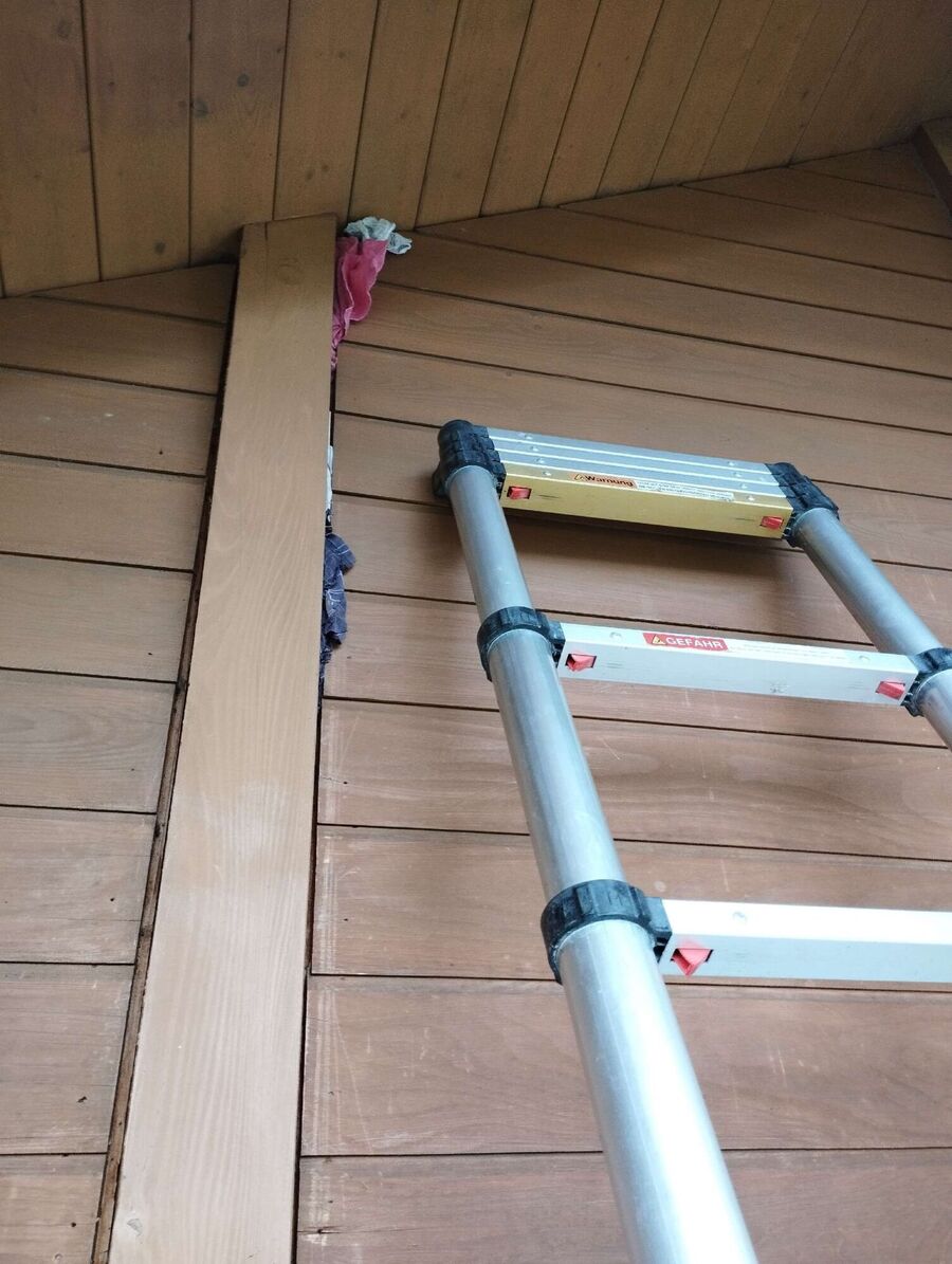 Bienen umsiedeln &  Bienennest entfernen 