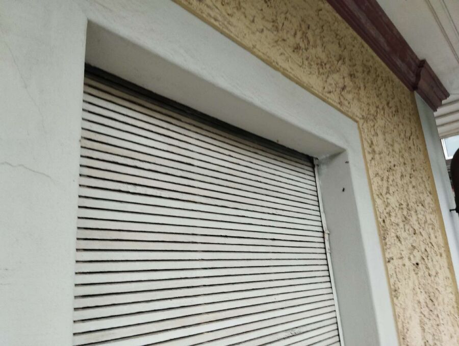  Bienennest entfernen.jpeg