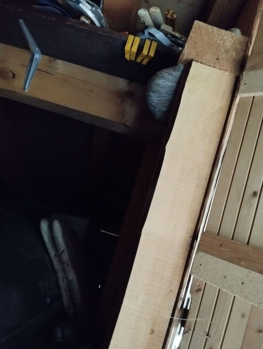  Bienennest entfernen