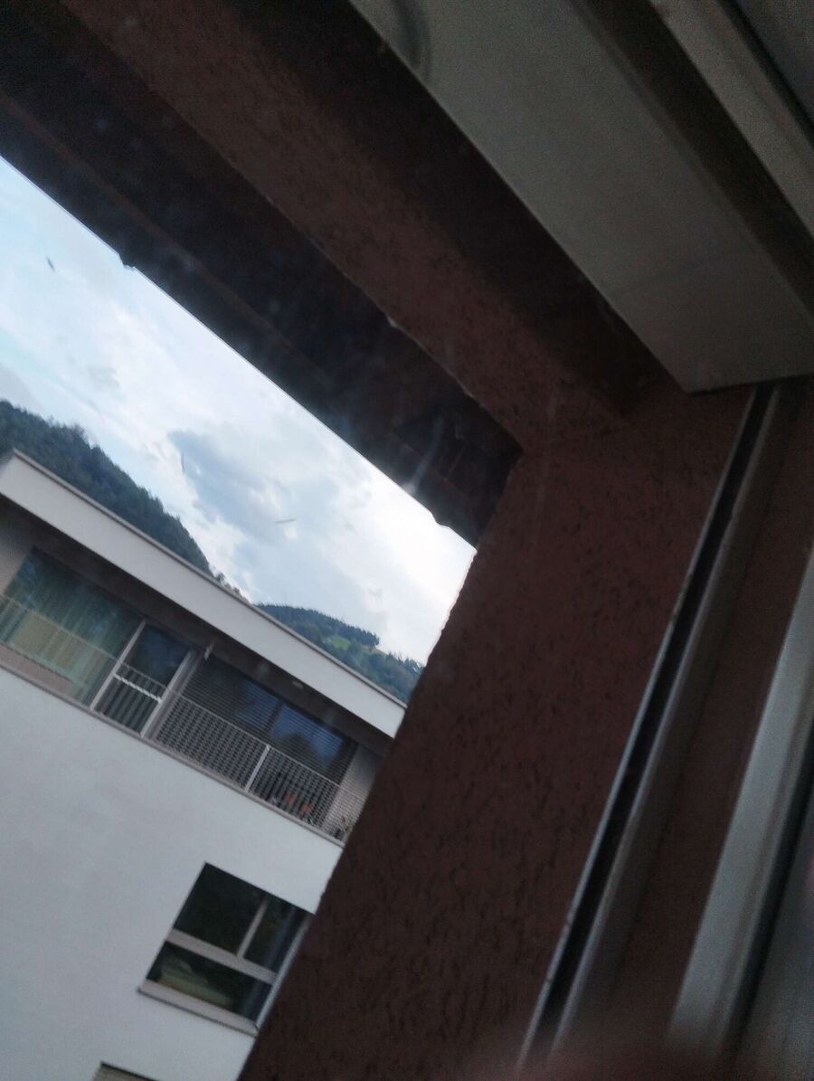  Bienennest entfernen.jpeg