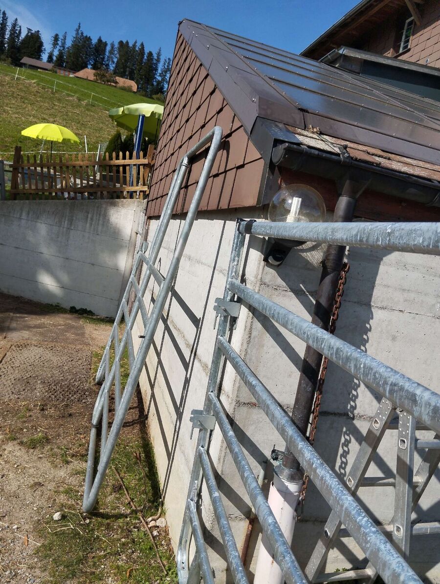  Bienennest entfernen.jpeg