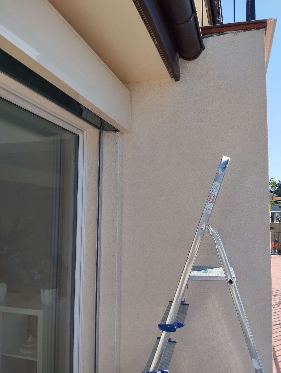  Bienennest entfernen.jpeg