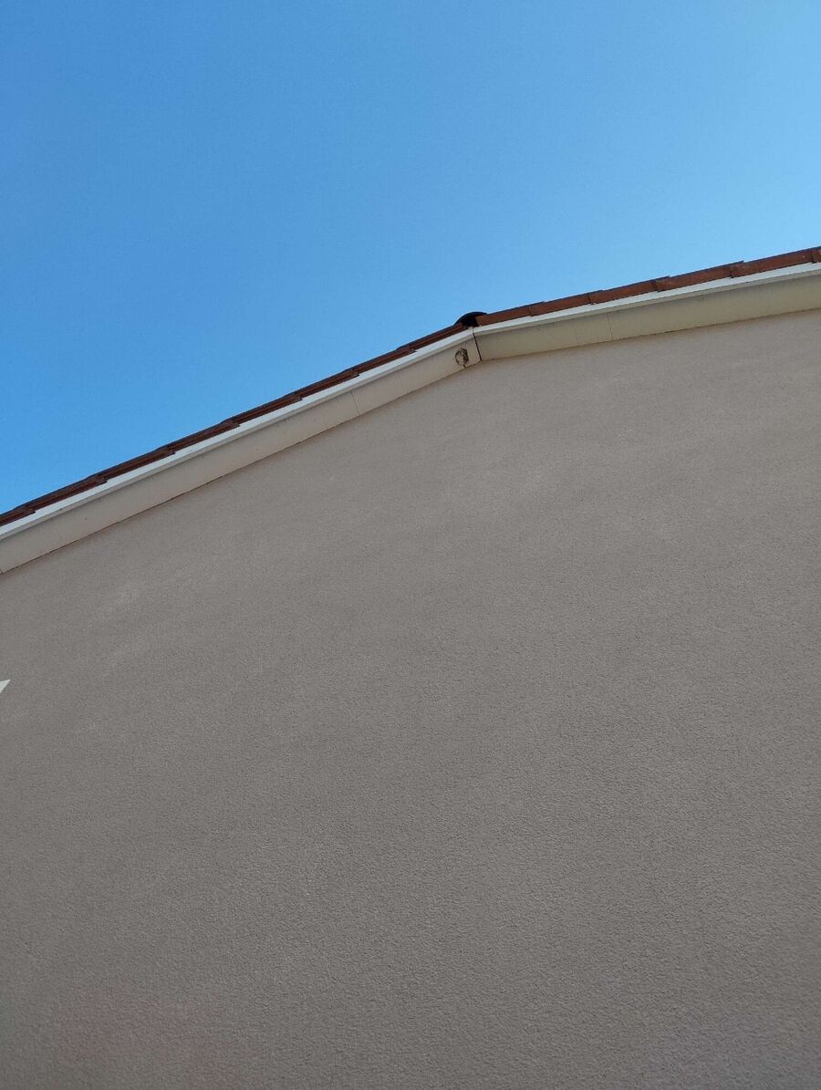  Bienennest entfernen