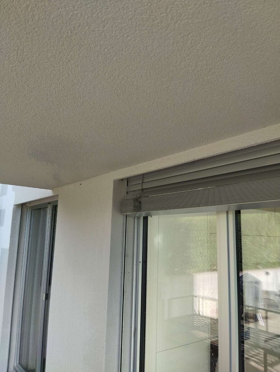  Bienennest entfernen