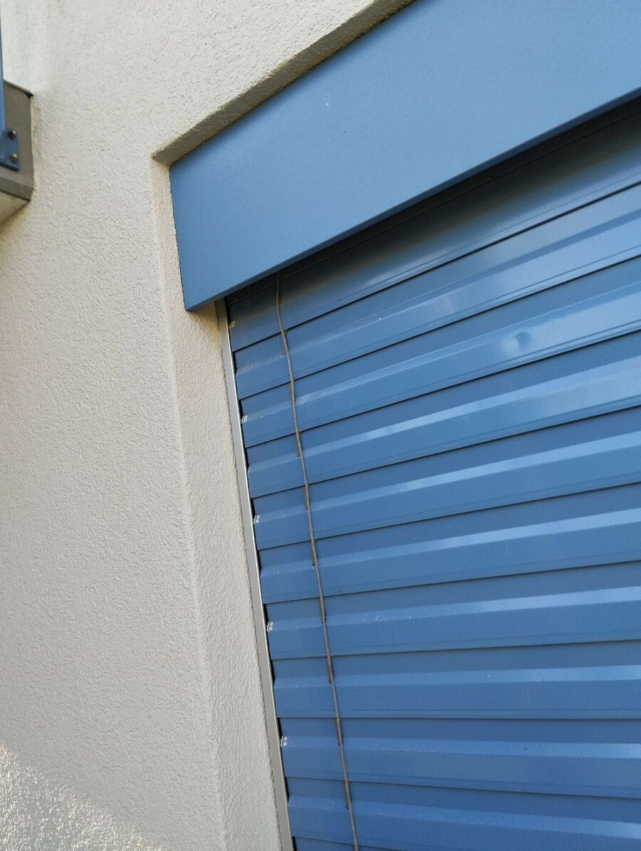  Bienennest entfernen