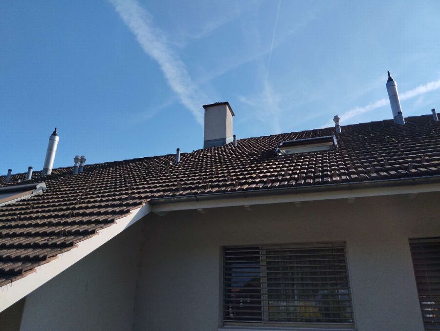  Bienennest entfernen.jpeg