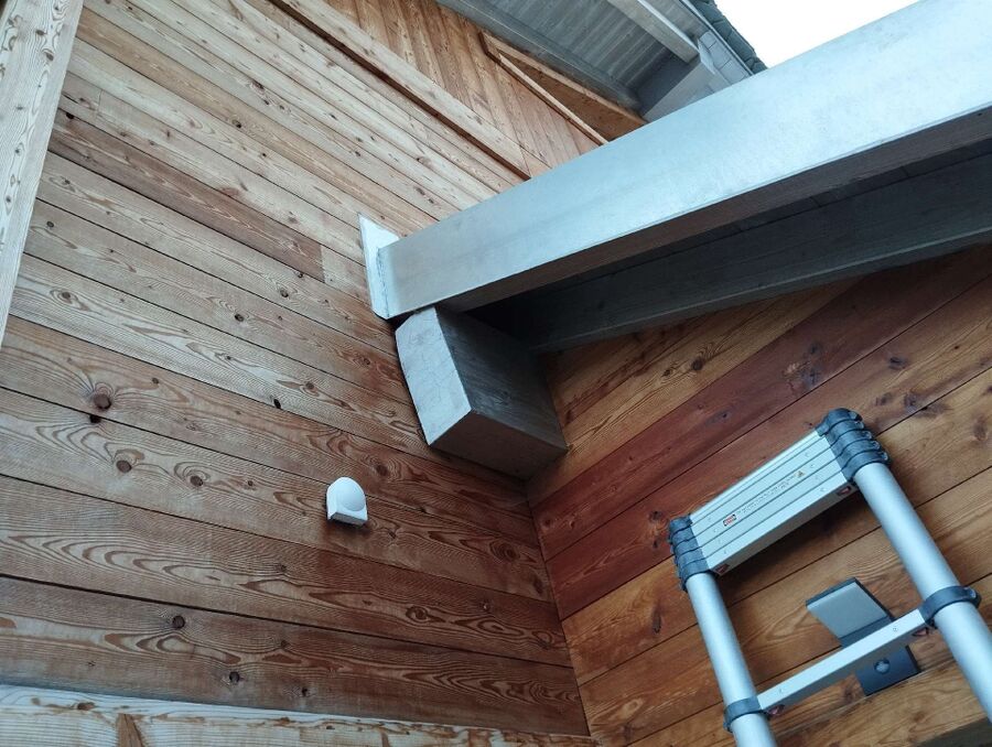  Bienennest entfernen.jpeg