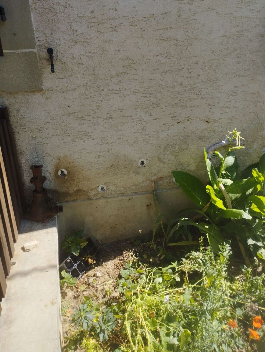 Bienen umsiedeln &  Bienennest entfernen 