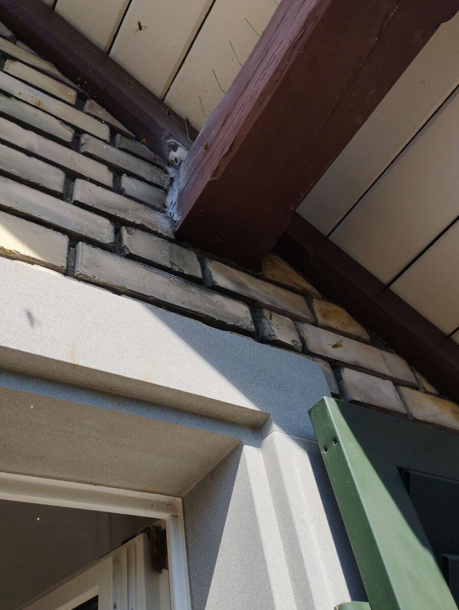 bienennest-am-haus-entfernen.jpg