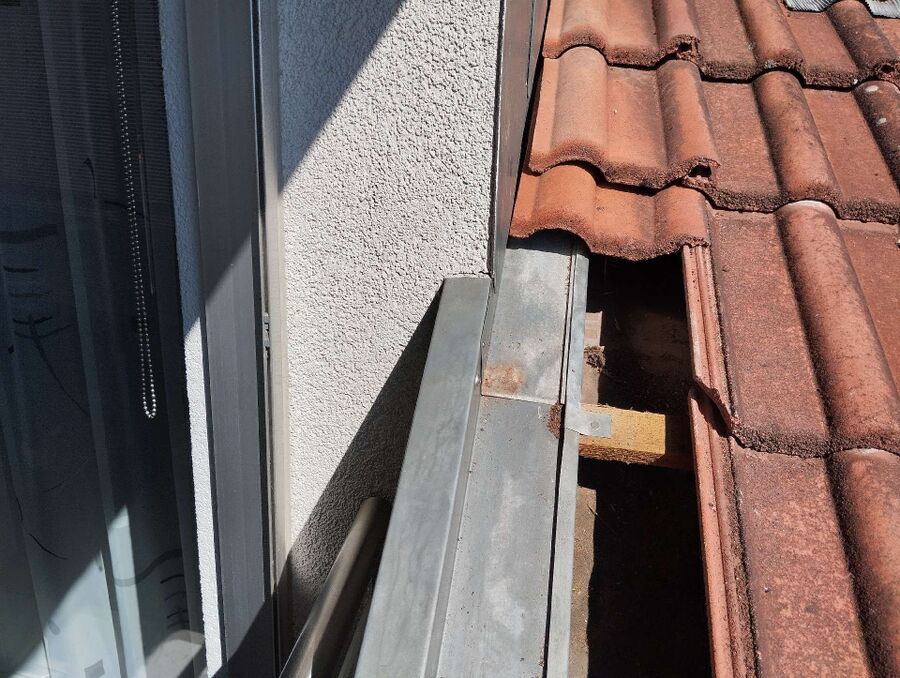  Bienennest entfernen.jpeg