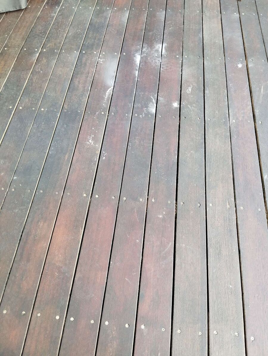  Bienennest entfernen