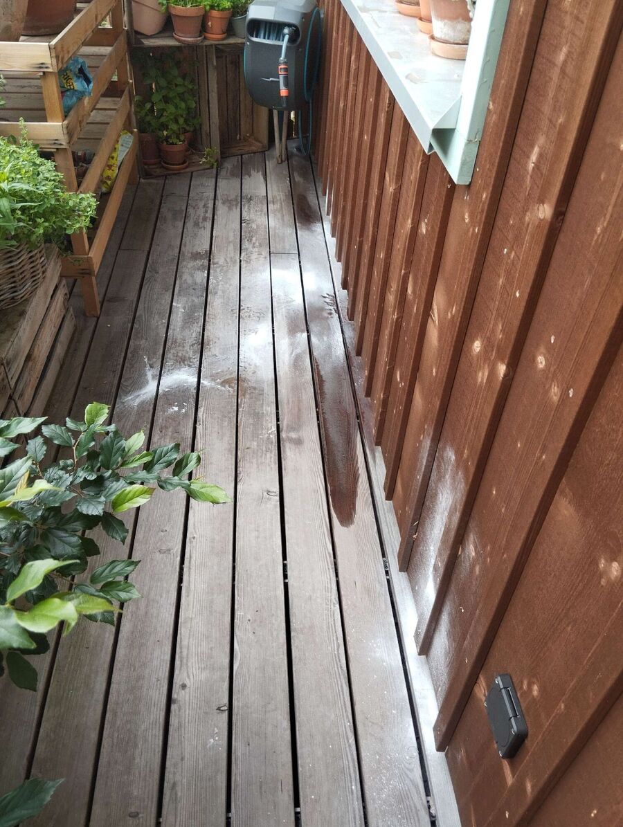  Bienennest entfernen.jpeg