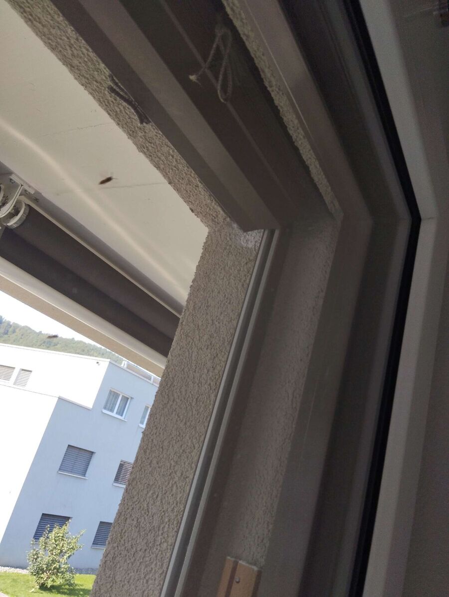  Bienennest entfernen