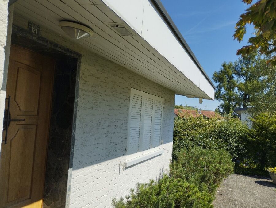  Bienennest entfernen