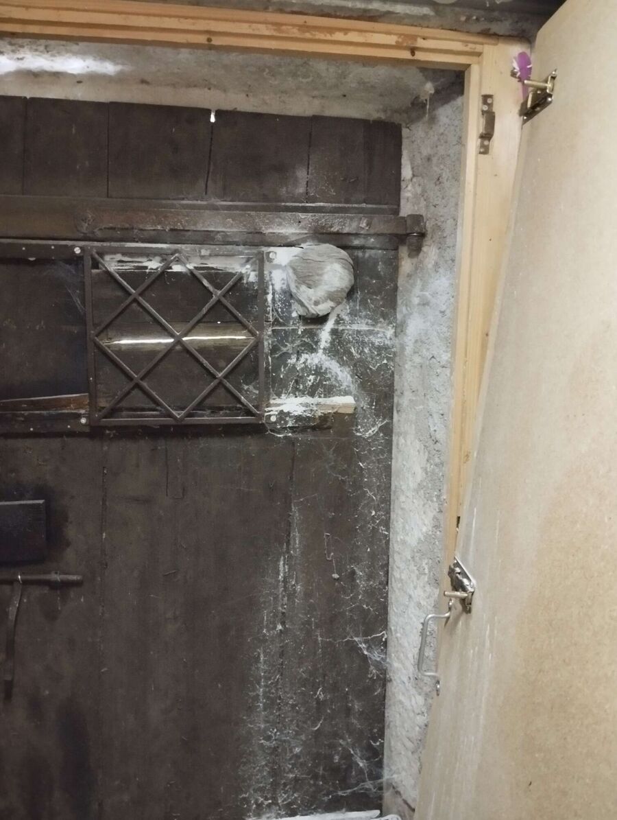 Bienen umsiedeln &  Bienennest entfernen 