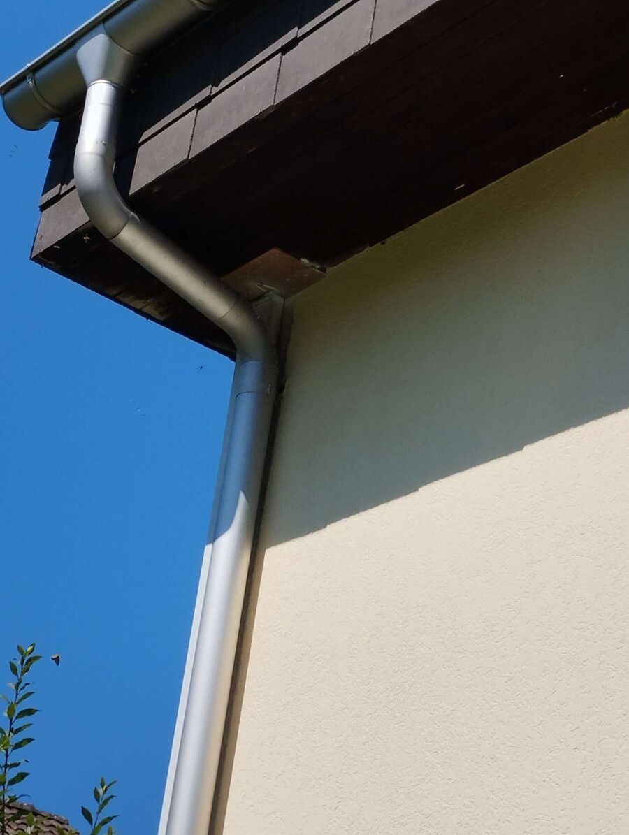  Bienennest entfernen.jpeg