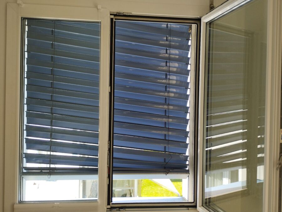  Bienennest entfernen.jpeg