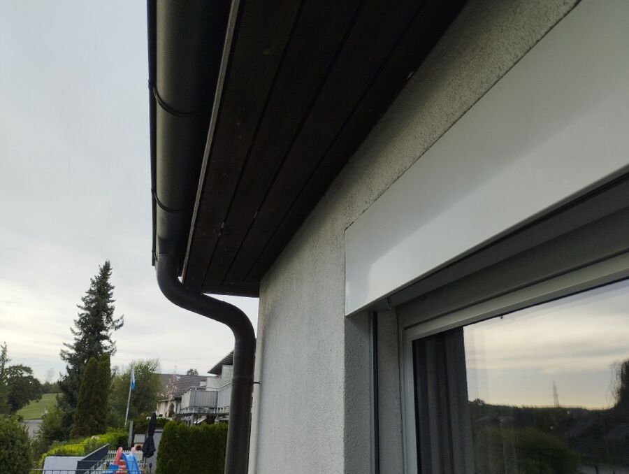  Bienennest entfernen.jpeg