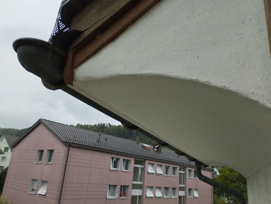  Bienennest entfernen.jpeg