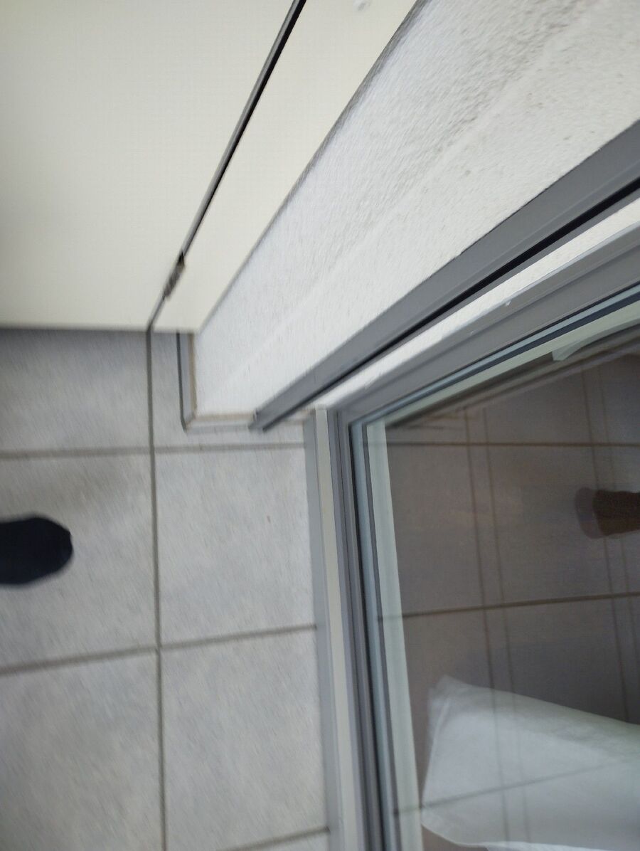  Bienennest entfernen