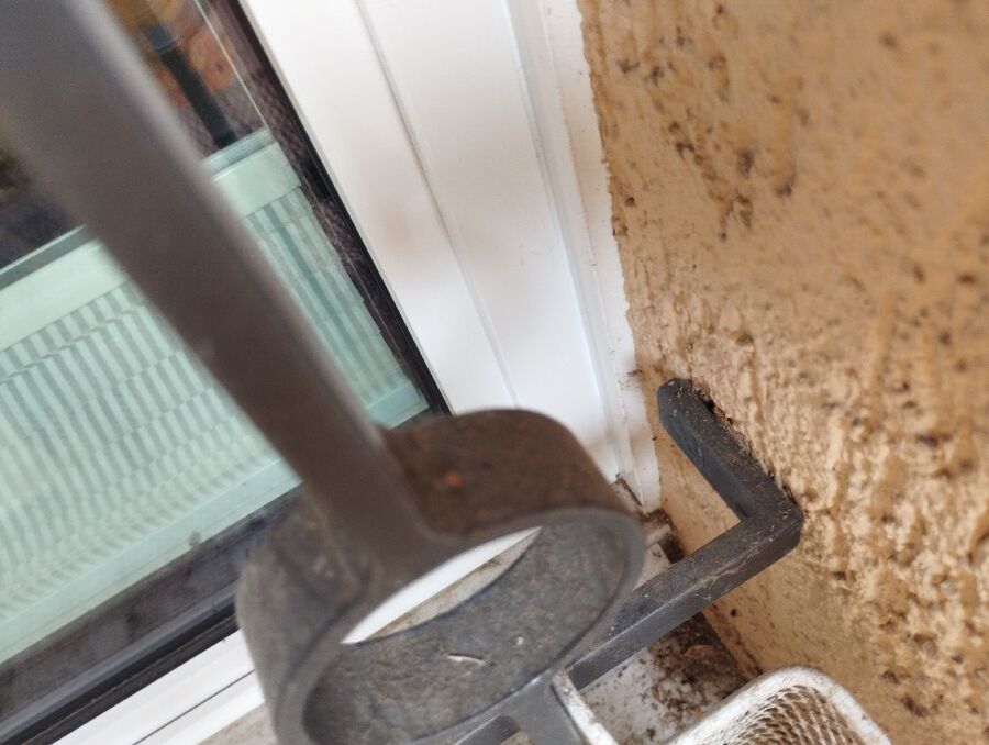 Bienen umsiedeln &  Bienennest entfernen 