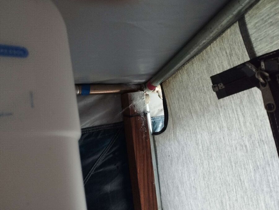  Bienennest entfernen.jpeg