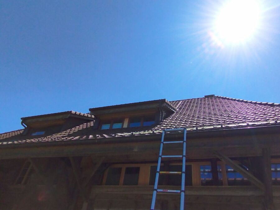  Bienennest entfernen.jpeg