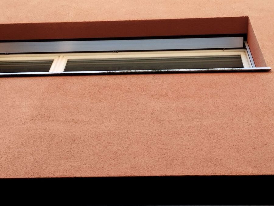 Bienen umsiedeln &  Bienennest entfernen 