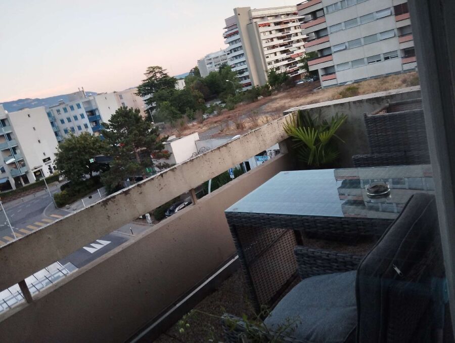  Bienennest entfernen