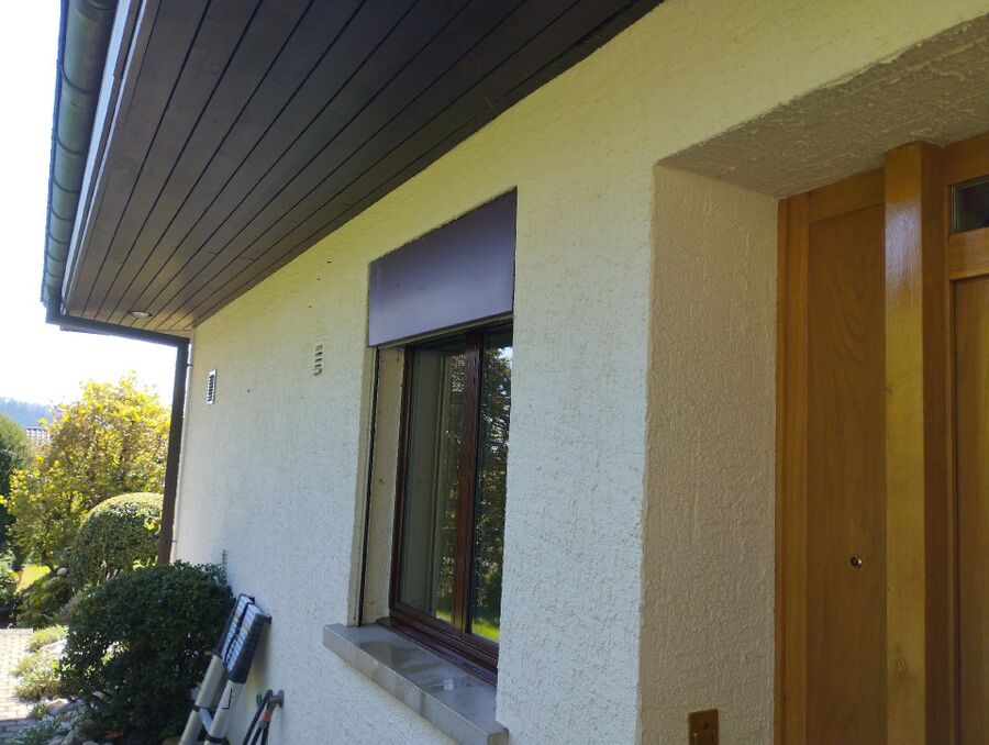  Bienennest entfernen