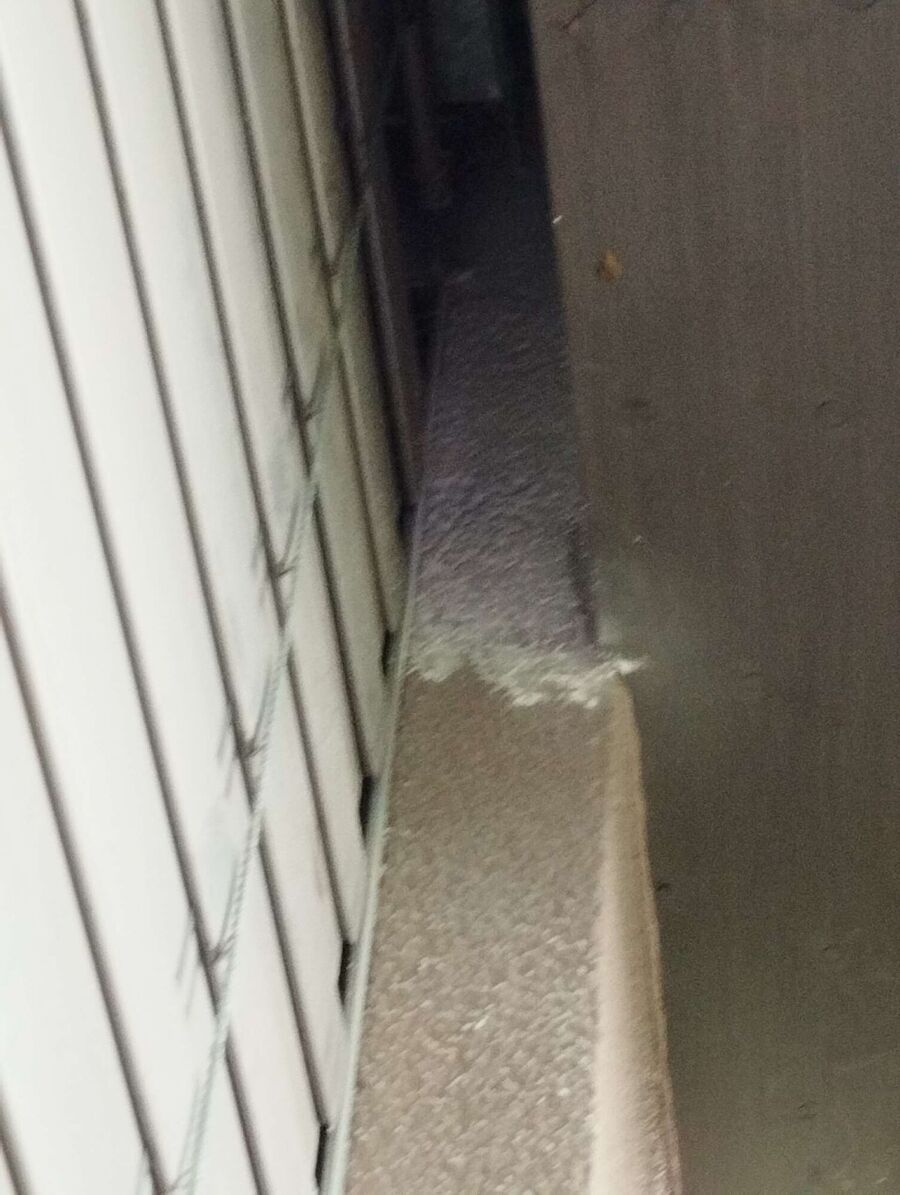  Bienennest entfernen