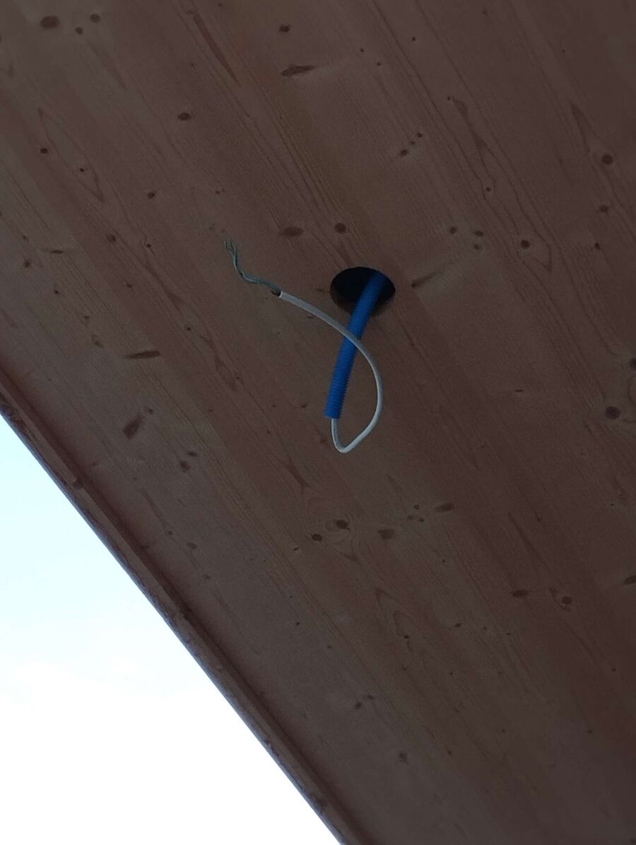  Bienennest entfernen