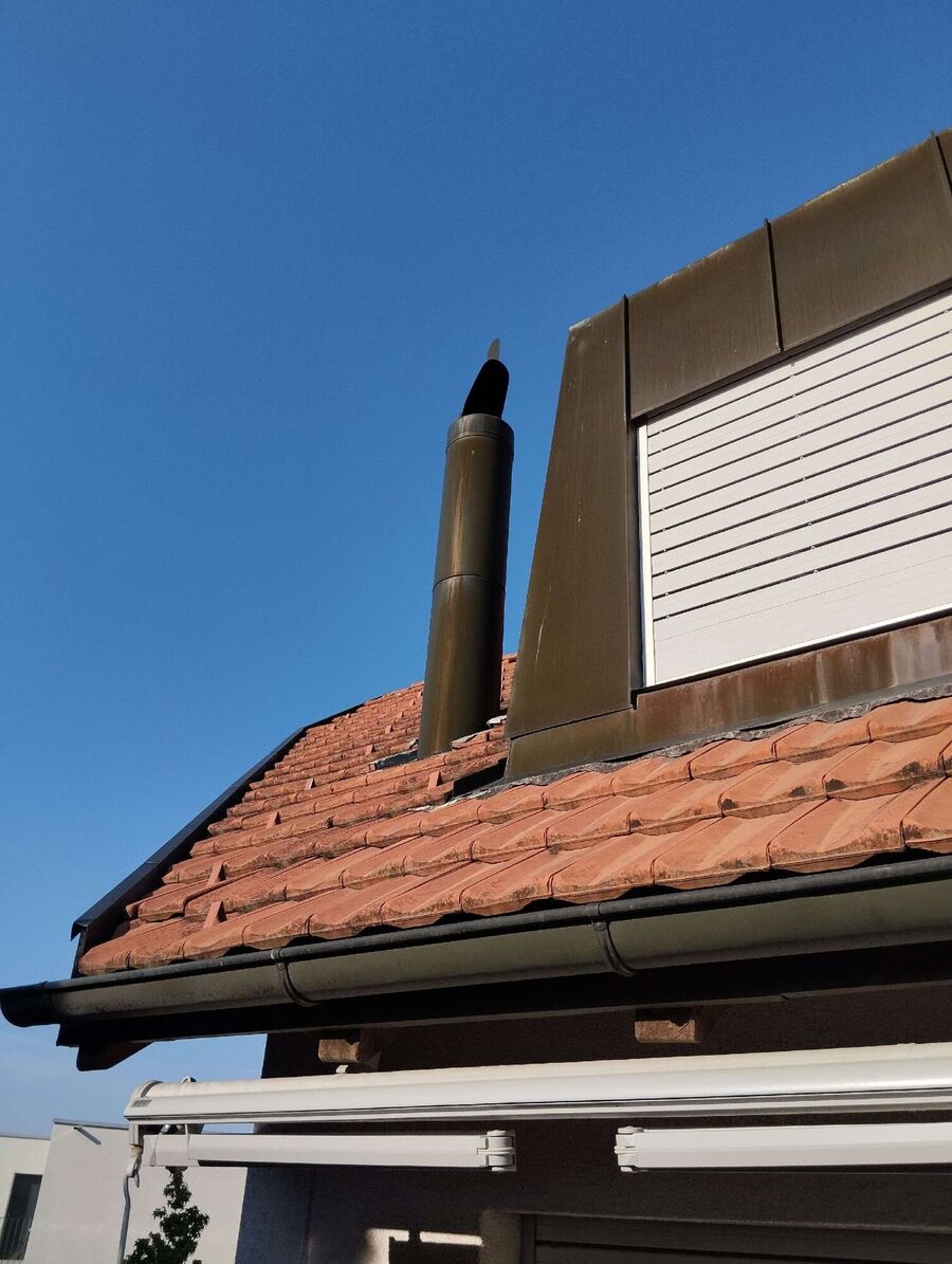  Bienennest entfernen