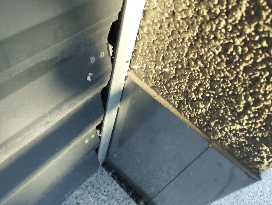  Bienennest entfernen.jpeg