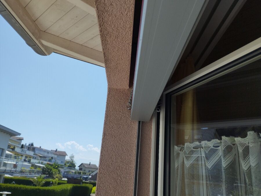 Bienen umsiedeln &  Bienennest entfernen 