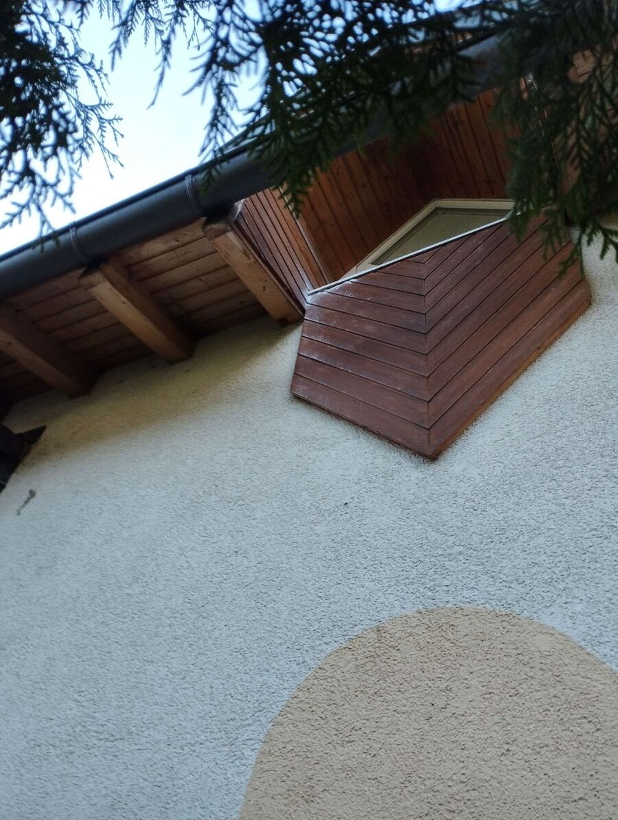  Bienennest entfernen.jpeg