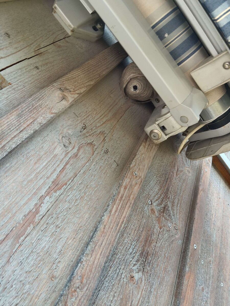  Bienennest entfernen