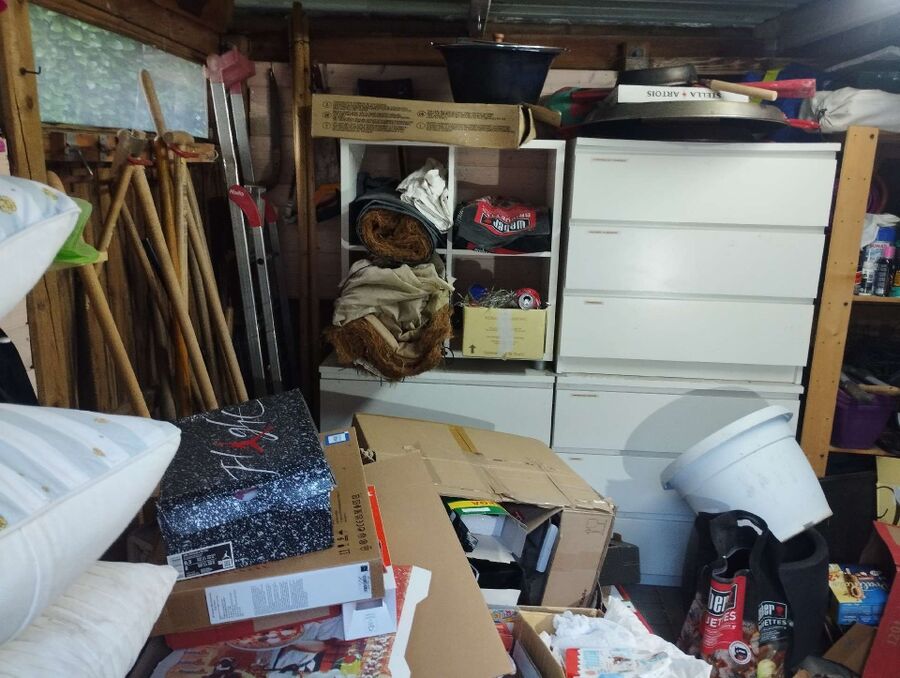  Bienennest entfernen