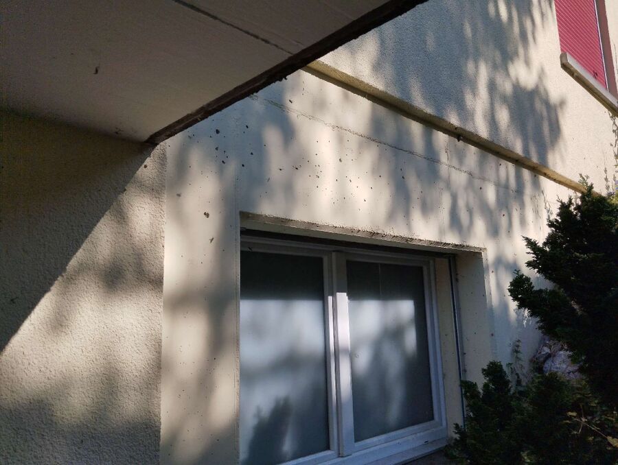  Bienennest entfernen