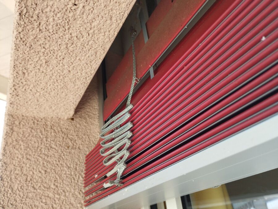  Bienennest entfernen.jpeg