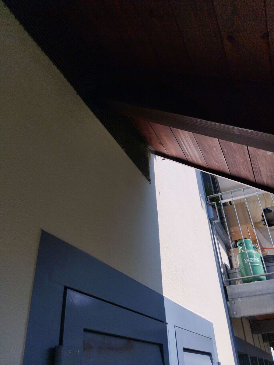  Bienennest entfernen.jpeg