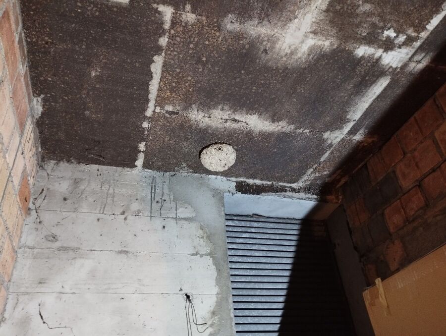  Bienennest entfernen.jpeg