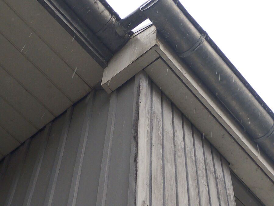 Bienen umsiedeln &  Bienennest entfernen 