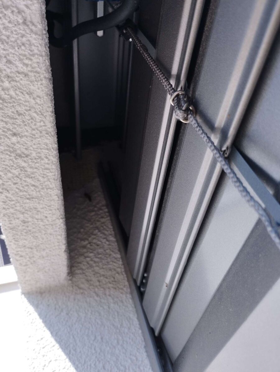  Bienennest entfernen.jpeg