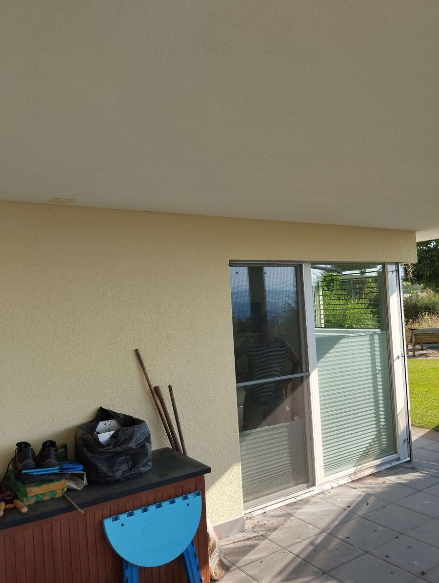  Bienennest entfernen