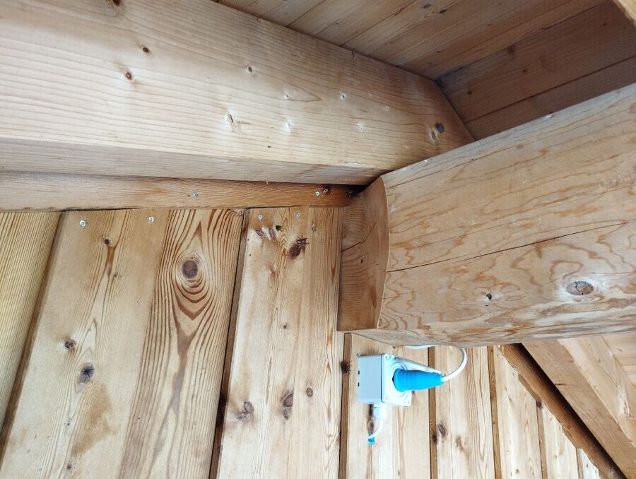 Bienen umsiedeln &  Bienennest entfernen 