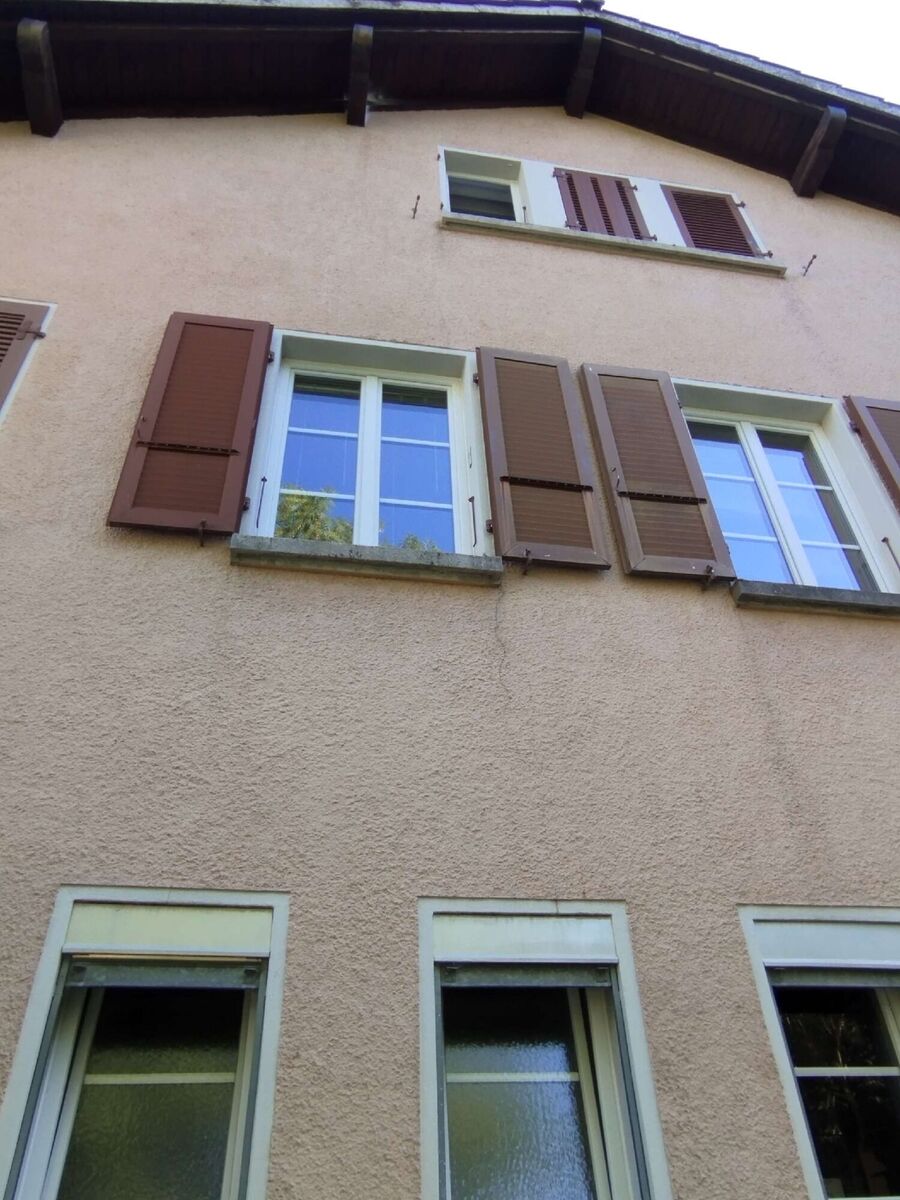  Bienennest entfernen