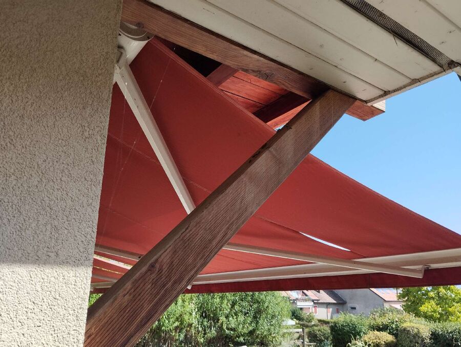  Bienennest entfernen.jpeg