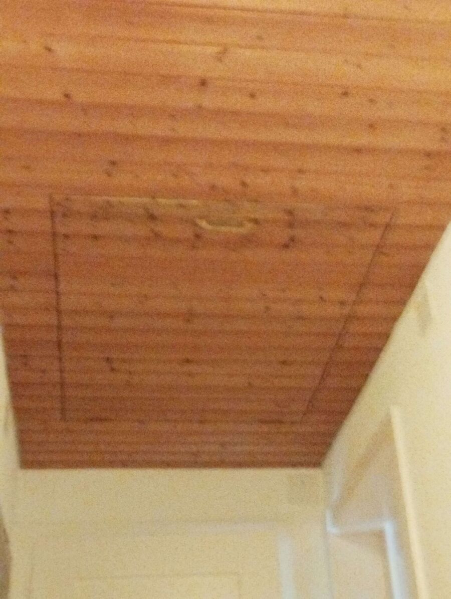  Bienennest entfernen.jpeg