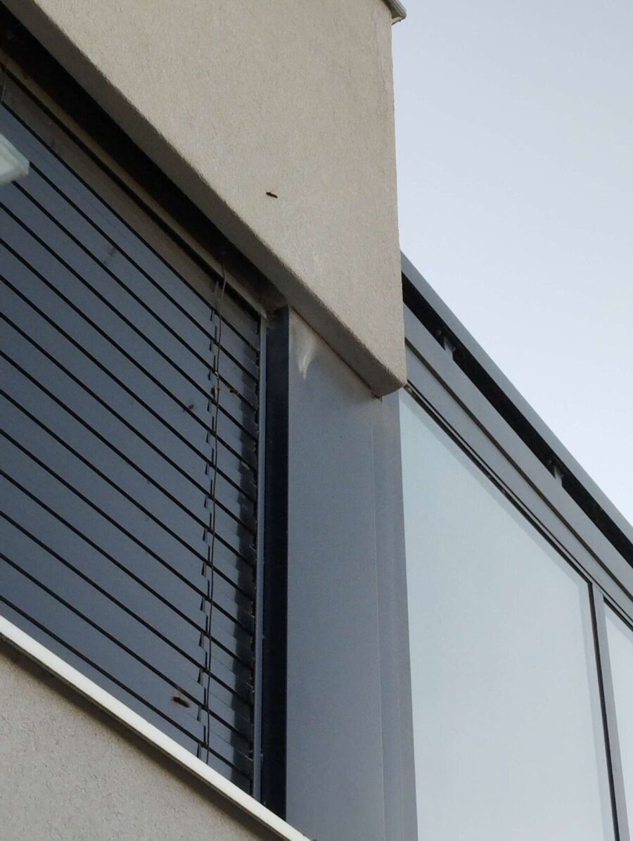  Bienennest entfernen